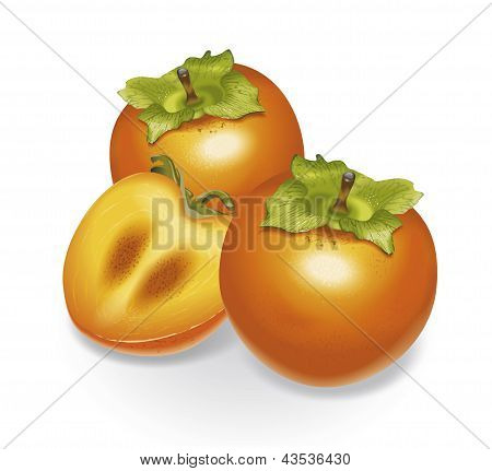 Persimmon
