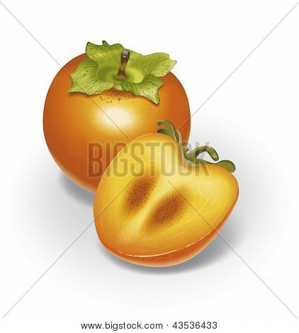 Persimmon