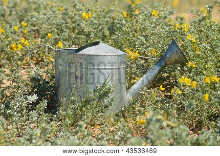Jardinage nature morte