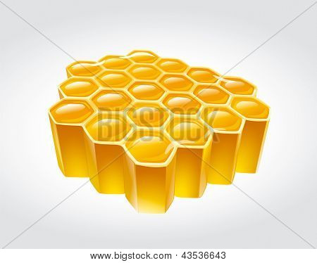 Honey combs illustration