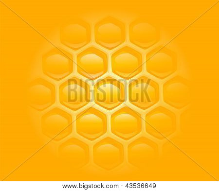 Honey combs backgrounds