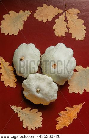 Squash Lying On A Brown Background. Pumpkin Orange Pattison Lies On A Burgundy Table With Dry Oak Le