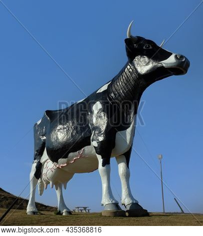 NEW SALEM, NORTH DAKOTA - 3 OCT 2021: Salem Sue, the worlds largest Holstein Cow, erected in 1974 by the New Salem Lions Club in honor of the local dairy industry.