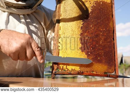 Senior Beekeeper Uncapping Honeycomb Frame With Knife At Table Outdoors, Closeup