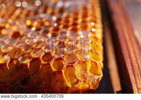 Closeup View Of Uncapped Filled Honeycomb Frame