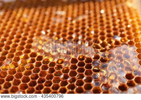 Uncapped Filled Honeycomb As Background, Closeup View