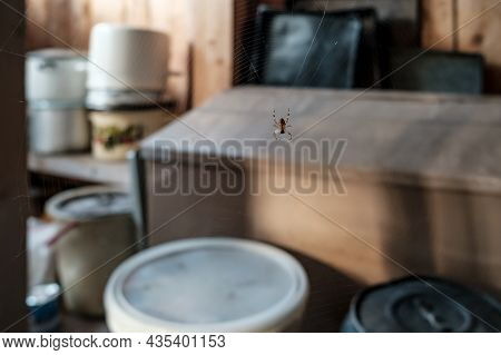 Spider Sits In The Center Of The Web, Waiting For Insects, Indoors. Predator Is In A Homemade Sticky