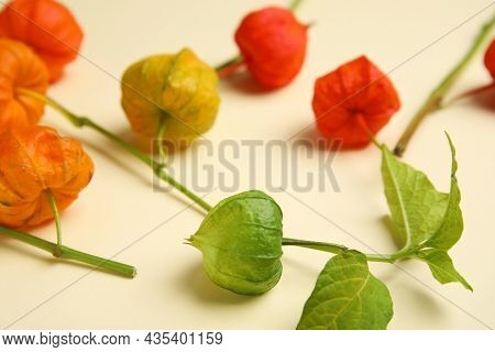 Physalis Branches With Colorful Sepals On Beige Background, Closeup