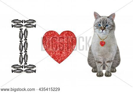 An Ash Cat Stands Near A Heart Shaped Sausage And A Fish Letter I. White Background. Isolated.