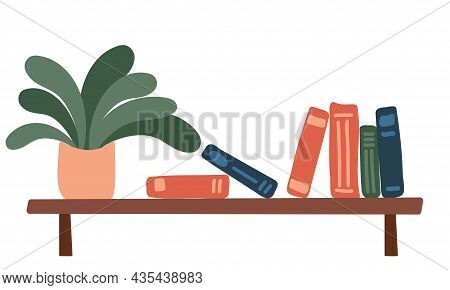 Bookshelf With Books And Potted Plant