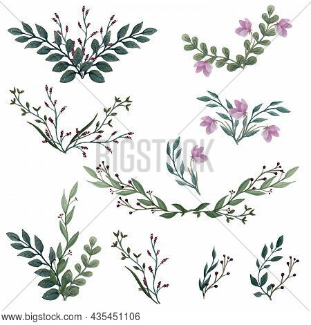 Field Flowers. Watercolor Illustration. Botanical Collection Of Wild And Garden Plants. Set: Wild Fl