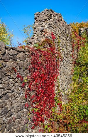 Mur d'un vieux château