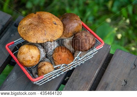 Autumn Cep Mushrooms With Brown Cap.