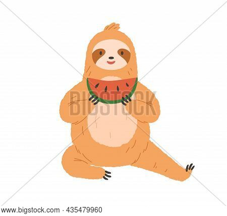Cute Sloth Eating Watermelon. Happy Funny Animal Sitting And Holding Sweet Fruit Slice In Paws. Char