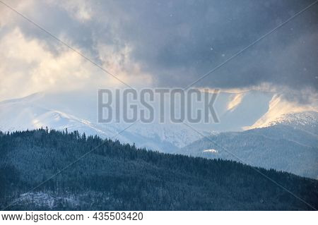 Winter Landscape With Spruse Trees Of Snow Covered Forest In Cold Mountains.