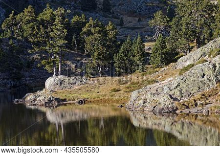 Forest On The Lac Achard Rocky Banks In Chamrousse At The End Of A Summer Day
