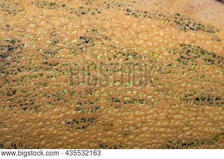 Melon Texture. Macro Photography Of The Mesh Peel Of Melon