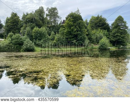 Picturesque Small Mountain Accumulation Lake Mrzla Vodica - Gorski Kotar, Croatia (slikovito Malo Go