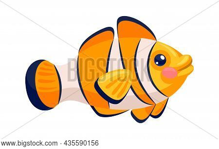 Fish Orange Amphiprion With White Stripes Isolated. Vector Animal Marine Clown Fish, Orange Striped 
