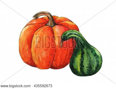 Watercolor Pumpkins Composition On White Background, Halloween, Fall Arrangement, Harvest Clip Art I