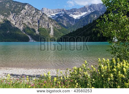 Plansee-Sommerlandschaft (Ã–sterreich).