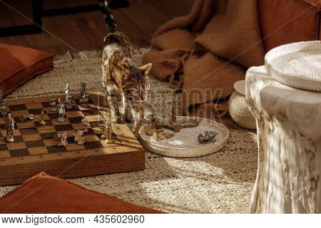 Ancient Metal Roman Chess Set With Silver And Gold Plated Pieces On Solid Oak Wood Board. Concept Im
