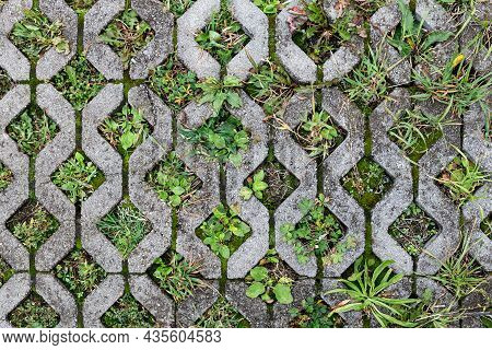 Textured Paving Slabs For Car Parking. Top View.