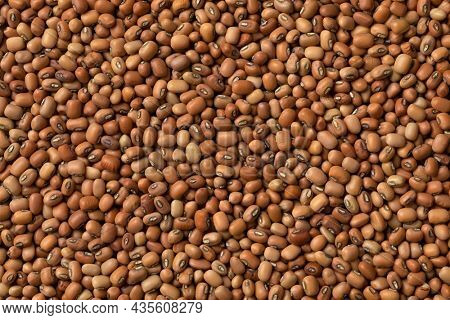 Dried Jarpesie field beans close up full frame as background