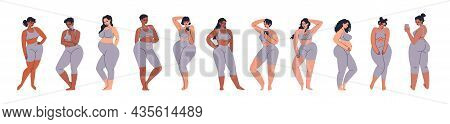Curvy Women In A Gray Skin-tight Suit. Set Of Young Chubby Women. Overweight And Pregnant Adult Girl