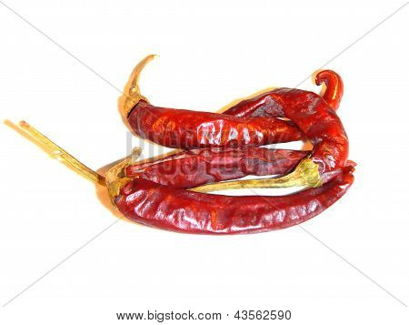 Ungarsk paprika