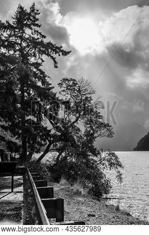 A Silhouette Of A Tree On Shore At Lake Crescent In Wasington State