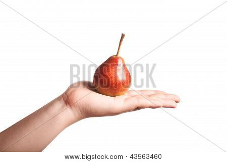 Pear On Hand Isolated On White Background