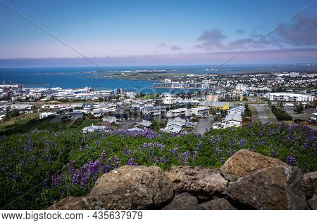 Hafnarfjordur, Iceland - July 17, 2021:
A City And Coastline Panorama, Viewed From A Hill. Lupine Fl