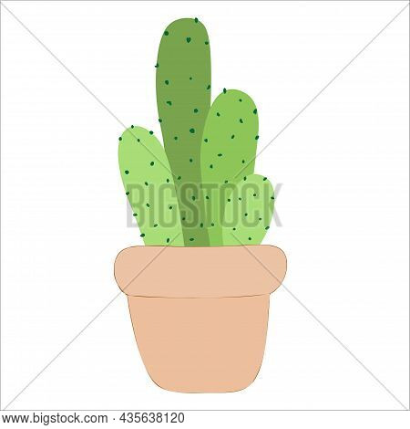 Vector Cactus . Exotic Plants. Decorative Natural Elements Isolated On White.