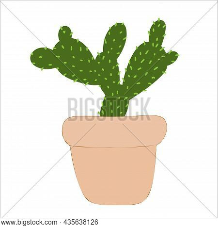 Vector Cactus . Exotic Plants. Decorative Natural Elements Isolated On White.