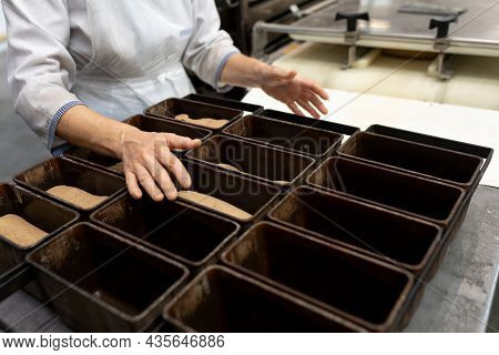 The Baker Fills A Baking Dish With Dough. Bread Production Stage In A Small Bakery