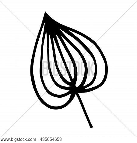 Leaf On Petiole Vector Icon. Hand Drawn Doodle. Tree Leaf Silhouette With Veins. Botanical Sketch. B