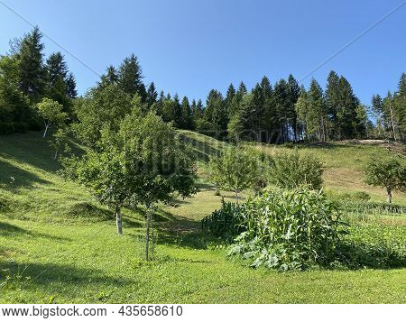 Typical Gorski Kotar Landscape With Pastures, Small Agricultural Gardens And Mixed Mountain Forest -