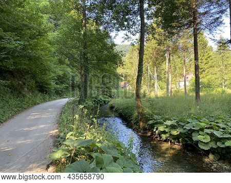 A Small Mountain Stream Between Čogrljevo Lake And The River Gornja Dobra In The Hamlet Of Tići - Go