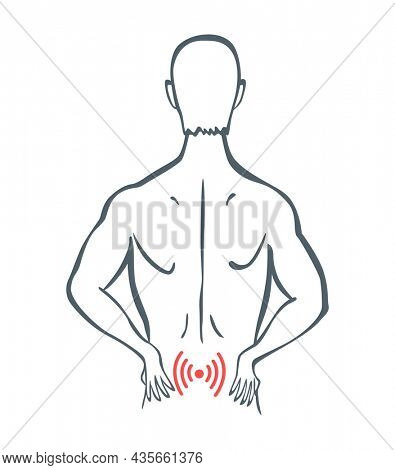 Body part pain. Man feels pain in back of body marked with red lines. foci of pain or trauma symbols, grey art line illustration
