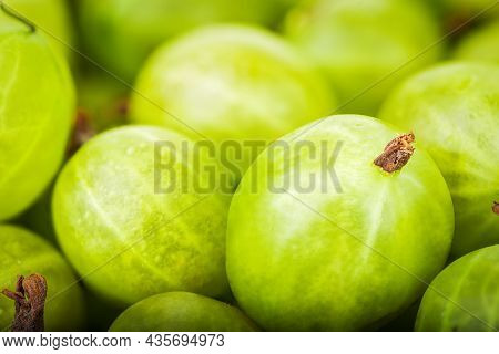 Background Of Ripe Green Goosberry Close Up