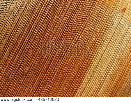 Dry Palm Leaf Macro. Background Of Brown Yellow Palm Leaf With Ribbed Texture. Nature Slanted Patter