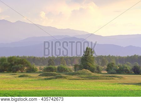 Trees On A Rural Field Against The Background Of The Altai Mountains Under A Yellow Sky. Siberia, Ru