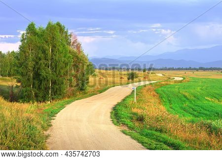 A Winding Gravel Road In A Field Under The Evening Blue Sky. Altai, Siberia, Russia