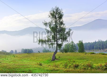 A Foggy Morning Among The Mountains Under A Blue Cloudy Sky. Siberia, Russia