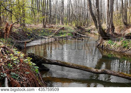 Landscape With A Small Wild River, River Banks Covered With Dry, Old Grass And Fallen Trees, Early S