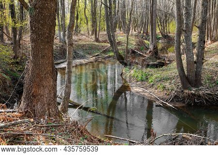 Landscape With A Small Wild River, River Banks Covered With Dry, Old Grass And Fallen Trees, Early S