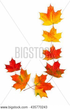 Letter J Of Colorful Autumnal Maple Leaves On White Background. Top View, Flat Lay