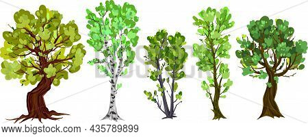 Set Polygonal Trees And Bushes With Different Crowns By Anastasia