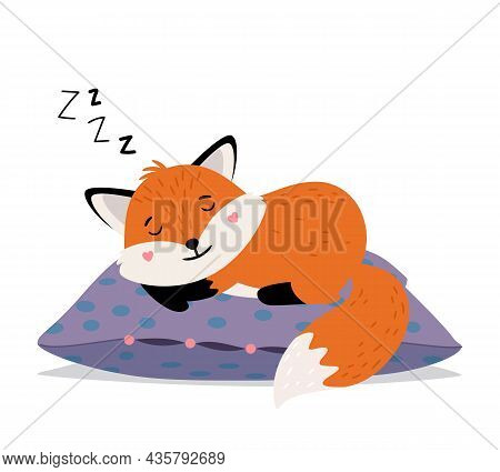Sleeping Fox. Orange Cute Tod Sweet Dreams On Soft Pillow, Smiling Foxy Face Autumn Babies Sleeps Ca